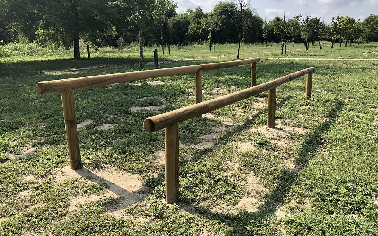 ESERCIZIO 10 - ESERCIZIO 10 - PERCORSO VITA