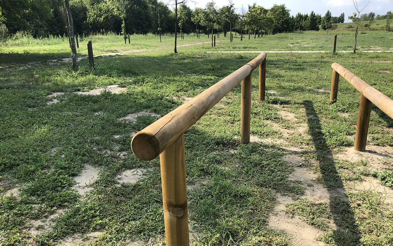 ESERCIZIO 10 - ESERCIZIO 10 - PERCORSO VITA