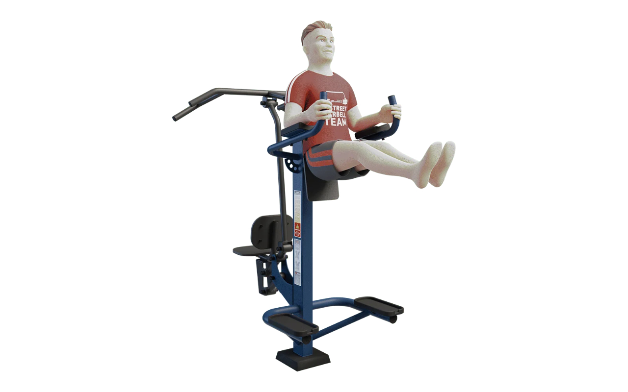 COMBINED PULL DOWN AND LEG RAISE STATION - COMBINED PULL DOWN AND LEG RAISE STATION - OUTDOOR FITNESS