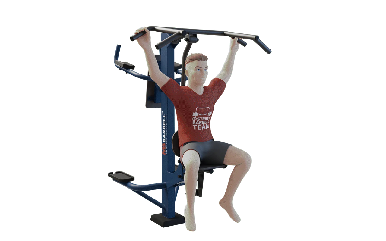 COMBINED PULL DOWN AND LEG RAISE STATION - COMBINED PULL DOWN AND LEG RAISE STATION - OUTDOOR FITNESS