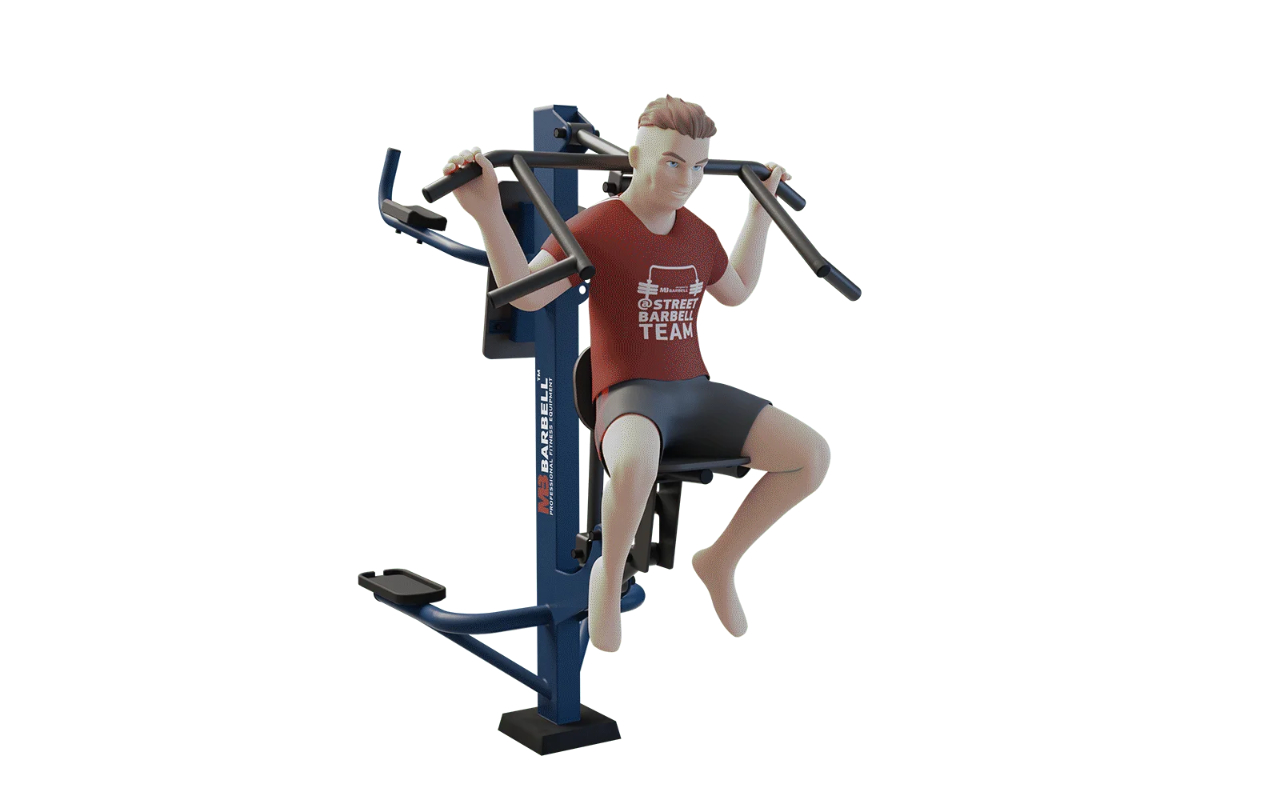 COMBINED PULL DOWN AND LEG RAISE STATION - COMBINED PULL DOWN AND LEG RAISE STATION - OUTDOOR FITNESS